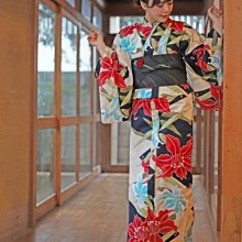 高品質全頻道360&deg;轉向模擬數字室外電視天線 紅外遙控 歷史價格詳細信息