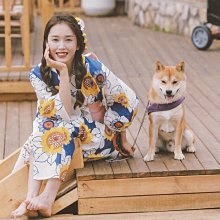 全新影片《浴血任務》DVD 席維斯史特龍 傑森史塔森 李連杰 杜夫朗格 艾力克羅勃茲 歷史價格詳細信息