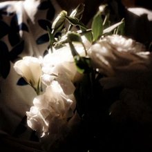 日式和服 和服配件 山鳥和色日式和風浴衣復古神明少女改良和服攝影旅拍寫真格紋櫻花 歷史價格詳細信息