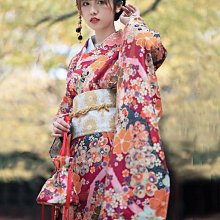 真傳少林八段錦：自學自練不求人，健肺強身提高免疫力 歷史價格詳細信息