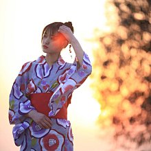 出口日本TOPONE 26寸復古懷舊自行車變速輕便休閑單車成人通勤 歷史價格詳細信息