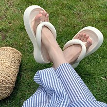 人字拖男夏季簡約休閑夾腳拖男款潮流外穿防滑涼拖網紅沙灘涼 歷史價格詳細信息