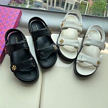 魔糕一尺順然廚師機家用小型攪拌商用和麵機全自動揉麵發麵DG0001 歷史價格詳細信息