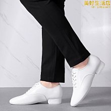 [斯頓]廣州飛悅抗風傘布沖天追錐風箏大風長尾成人專業新品 歷史價格詳細信息