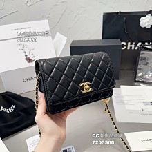 CHASE 工業級乾溼兩用吸塵器CH30P 歷史價格詳細信息