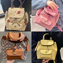 雙肩包2023款小眾設計清新甜美通勤背包高顏值大容量防水學生書包 歷史價格詳細信息