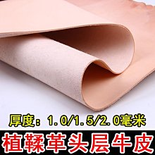 塑料染色缸24片染色缸載玻片染色缸（不含架） 027-00381 歷史價格詳細信息