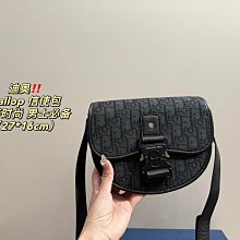 2024新款帆布飯盒包輕奢法式慵懶風時尚百搭單肩手提包女包 19.12cm 配盒精品代購 歷史價格詳細信息