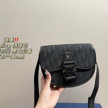 2024新款帆布飯盒包輕奢法式慵懶風時尚百搭單肩手提包女包 19.12cm 配盒精品代購 歷史價格詳細信息