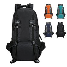大容量背包男旅遊旅行後背包打工行李包女休閒戶外登山包超大背包 歷史價格詳細信息