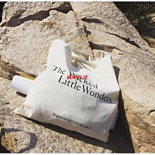 簡約環保袋帆布袋拉鏈B購物袋男女學生大容量單肩書B手提B【井川百貨】  露天拍賣  露天市集  全臺最大的網路 歷史價格詳細信息