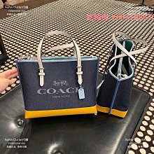 代購新款帆布托特包單肩斜挎網紅爆款高級感通勤女包大容量小眾手提包 明星大牌同款包包 歷史價格詳細信息