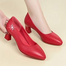 跟紅豆妮綠豆兵學詞語2【金石堂】 歷史價格詳細信息