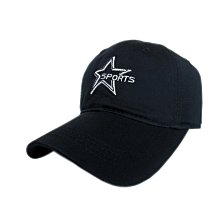 海特曼-黑色衣物專用護色片10片入 歷史價格詳細信息