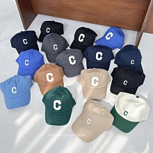 限時特價 正品原裝NEC原裝高壓條104PW161 121PW181 104PW201/104pw191 歷史價格詳細信息