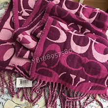 全新真品 Coach 93095 粉紅色貓頭鷹美眉鑰匙圈 歷史價格詳細信息