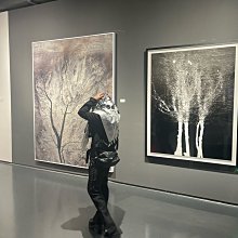 哈利原創 現貨不用等 擬真 野狼版 3款可選 逼真假屌 矽膠 吸盤 男根 假陽具 情趣用品【哈利男孩】 歷史價格詳細信息