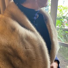 羅拉快跑 近新日本品牌GOUT COMMUN麂皮拚光面皮雙生雙相藍色手提側背斜背包 歷史價格詳細信息