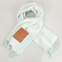 Loewe 圍巾 披肩，羊毛，西班牙????????的頂尖奢侈品牌，秉承傳統，漸層美技藝，熱誠，散髮獨特的西班牙貴族氣息 歷史價格詳細信息