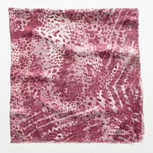 破盤出清大降價！全新美國名牌正品 COACH 年輕款皮夾長夾，生日情人節最佳贈禮！下標就賣！免運！ 歷史價格詳細信息