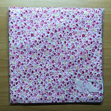 NaRaYa娜莱雅曼谷包牛仔系列蝴蝶結牛仔包蕾絲牛仔水餃包~保證正品 歷史價格詳細信息