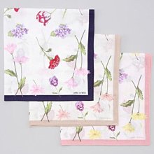 島田熟成紅茶 (60g) 歷史價格詳細信息