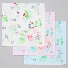 島田熟成紅茶 (60g) 歷史價格詳細信息