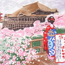 【日本製】????櫻花鑰匙圈????4月 生日 禮物 誕生花 紀念 押花 粉紅色 可愛 日系 植物 日式 吊飾 裝飾 飾品 歷史價格詳細信息