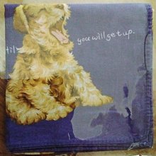 慵懶午後．睫毛蕾絲精美比基尼 歷史價格詳細信息