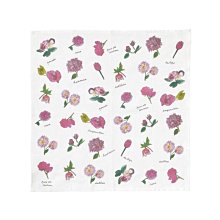 現貨- 粉粉的玫瑰金 愛心串小珍珠 細細項鍊【951070】 歷史價格詳細信息