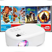 【熱銷迷你冰箱】110V臺灣美國家用13.5L迷你電冰箱宿舍冷暖兩用冰櫃車家兩用冰【小羊甄選】【小羊甄選】 歷史價格詳細信息