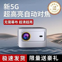 【東東】投影布幕金屬白柵抗光4K家用幕布摺疊簡易掛鈎100110120英寸高 歷史價格詳細信息
