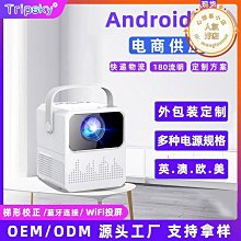 【東東】投影布幕金屬白柵抗光4K家用幕布摺疊簡易掛鈎100110120英寸高 歷史價格詳細信息