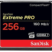 SanDisk 256GB 256G Extreme PRO【SDCZ880-256G】CZ880 USB3.2 隨身碟 歷史價格詳細信息