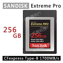 SanDisk Extreme Pro CFexpress  256GB 記憶卡 1700MB/S (公司貨) 歷史價格詳細信息
