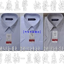 淡水阿祥婚紗外拍車 九人座車 歷史價格詳細信息