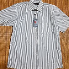 （） h66 投影儀家用 投影機辦公 清投影 家庭 歷史價格詳細信息