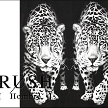 [曼谷設計師品牌] GAGA包 MINI 立體閃亮亮片側背包/手拿包/隨身小包~泰國帶回~現貨~可選背帶線顏色 歷史價格詳細信息