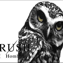 RUSH Hombre (曼谷空運 現貨) 中性設計師款捕夢網鹿頭圖案背心-白 (男女皆可) (原價290) 歷史價格詳細信息