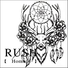 【現貨空運】中式禪意蒲團坐墊打坐墊禪修墊跪墊拜墊拜佛墊家用蒲團墊家用 歷史價格詳細信息