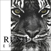 RUSH Hombre (曼谷空運 現貨) 中性設計師款捕夢網鹿頭圖案背心-白 (男女皆可) (原價290) 歷史價格詳細信息
