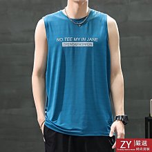 寬鬆速乾冰絲 健身背心男運動跑步T恤上衣訓練衣服短袖夏 歷史價格詳細信息
