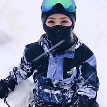 The North Face MOUNTAIN LIGHT 男 防水透氣外套 綠迷彩 NF0A5B3936D 歷史價格詳細信息