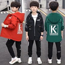 現貨※長春迪瑞生化儀燈泡12V20W適用CS300 380 400 600 800 1200 1300 歷史價格詳細信息