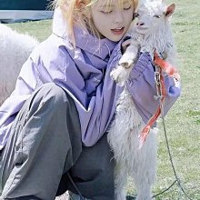 衝鋒衣外套 戶外登山服 運動外套 美式沖鋒衣 外套男士 春秋潮牌 機能戶外寬松運動情侶款 工裝連帽夾克-潮男服飾 歷史價格詳細信息