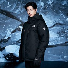 The North Face 羽絨外套 防寒外套 外套 夾克 灰 灰綠 極稀有 老品 復古 古著 Vintage 歷史價格詳細信息