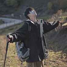 春秋山系戶外機能風沖鋒衣馬甲男女疊穿工裝坎肩運動騎行立領外套機能背心-雅怡尚品 歷史價格詳細信息