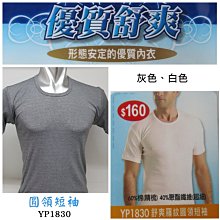 【晉新】YG_貨號YP3051_羅紋無袖衫_背心_天鵝牌_男性內衣_原價210元_尺寸M~XXL 歷史價格詳細信息