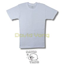 **大衛羊的衣店園**MIT【男童】名秀8802印花男孩三角內褲 兩件一組 歷史價格詳細信息