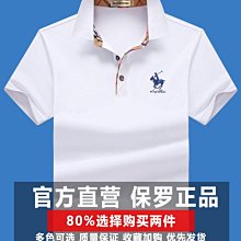 男士polo衫翻領短袖T恤男丅潮流百搭男裝簡約帶領男士上衣體桖-正正男裝 歷史價格詳細信息